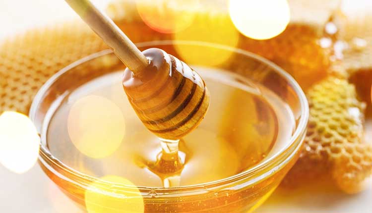 سنه العسل كم يعيش كم سعرة