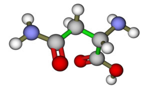الهيكل الجزيئي للأحماض الأمينية