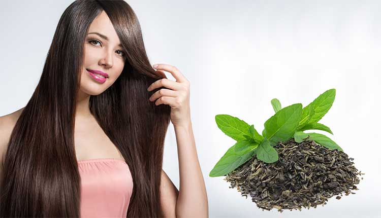 فوائد الشاي الاخضر لتطويل الشعر وعلاج تساقطه (5 طرق فعالة)